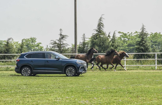 TOGG şampiyon atlarla yarıştı, antrenman yaptırdı! Görüntüler nefes kesti