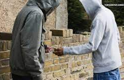 Van'da "torbacı" operasyonlarında 20 şüpheli gözaltına alındı