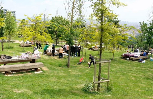 Murat Kurum: 81 ilimize 484 millet bahçemizle 75 milyon metrekare yeşil alan kazandırdık