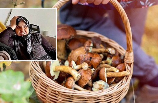 Mantar aramaya giden yaşlı kadın kayboldu