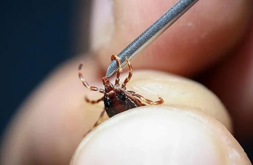 Kabus hortladı! Sivas'tan acı haber geldi