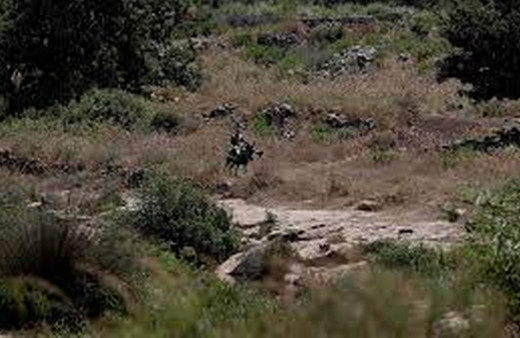 Filistin Tarım Bakanlığı: İsrail Batı Şeria'daki doğa rezervlerini ilhak etmeye çalışıyor