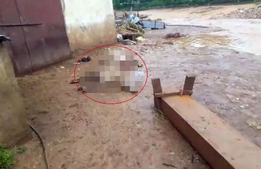 Elazığ'da korkunç olay: 200 küçükbaş hayvan öldü