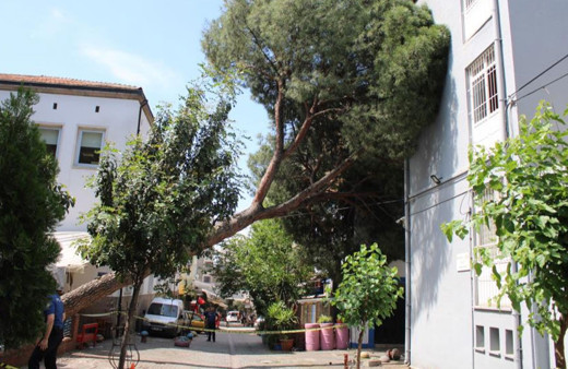 Asırlık ağaç polis karakolunun üzerine devrildi