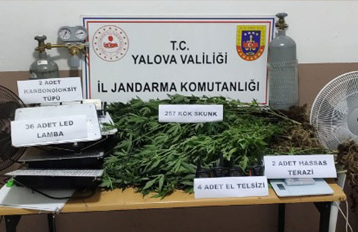 Yalova'da evin bodrumunda uyuşturucu üreten 2 kişi tutuklandı!