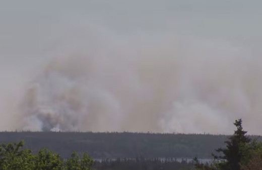Kanada'da orman yangınlarında 3 milyon hektarlık alan zarar gördü