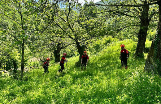 Uludağ'da şifalı bitki toplarken kaybolan kişi aranıyor