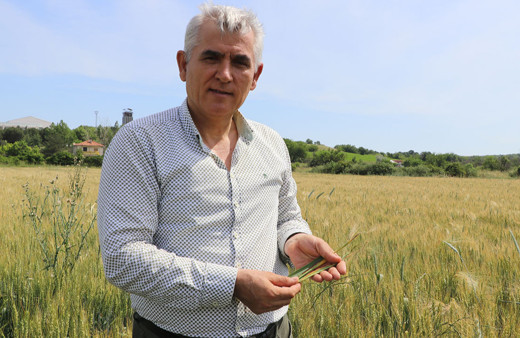 Edirne'de Balkan Tohumcular Birliği kuruldu