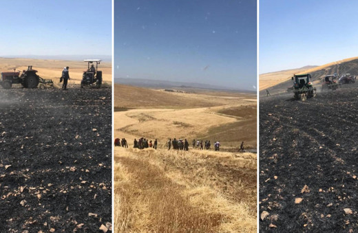 Biçerdöverden yangın çıktı! 100 dönümlük buğday tarlası küle döndü!