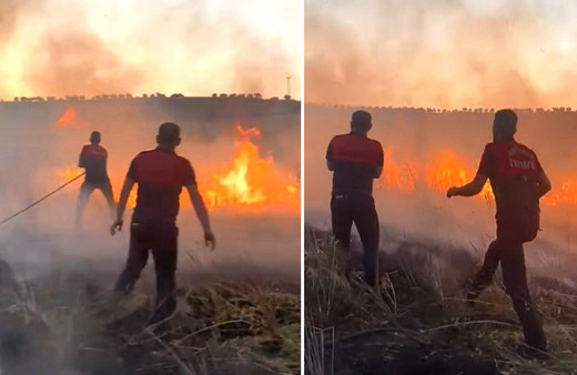 Adıyaman'da buğday tarlası cayır cayır yandı!