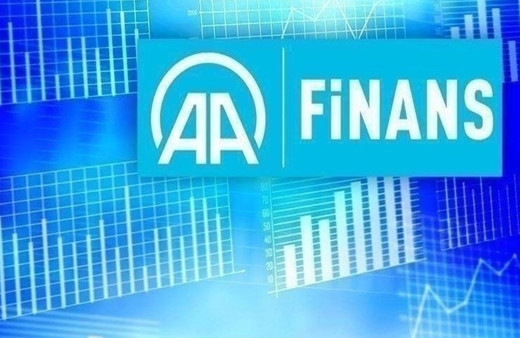AA Finans Ödemeler Dengesi Beklenti Anketi sonuçlandı