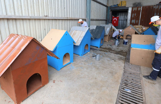 Kocaeli'de atık malzemeler sokak hayvanlarına yuva oluyor