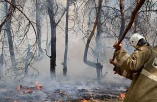 Kazakistan'da orman yangını: 14 işçi hayatını kaybetti