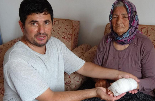 Mersin'de sahipsiz kangal köpeği, yaşlı kadını yaraladı