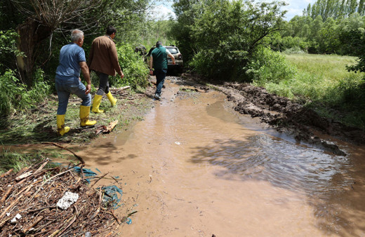 Sivas'ta sele kapılan 40 kuzu telef oldu
