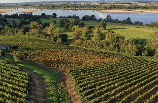 Fransa'da kuraklık alarmı! Yer altı su seviyeleri düştü!