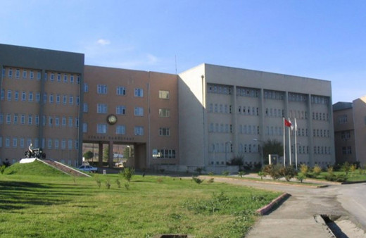 Samsun'da kenevir küspesi yeminin kümes hayvanlarının verimine etkisi araştırılıyor