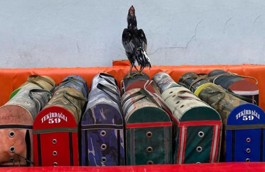 Tekirdağ'da horoz dövüştüren 5 kişiye 20 bin 275 lira ceza uygulandı