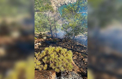 Fethiye'de yıldırım düşen ormanlık alanda yangın
