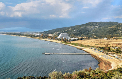 Aydın Kuşadası'nda 2 ölü yunus karaya vurdu