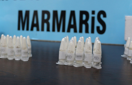 Polonya'dan Marmaris'e postayla gönderildi: 76 tarantula yavrusu ele geçirildi!