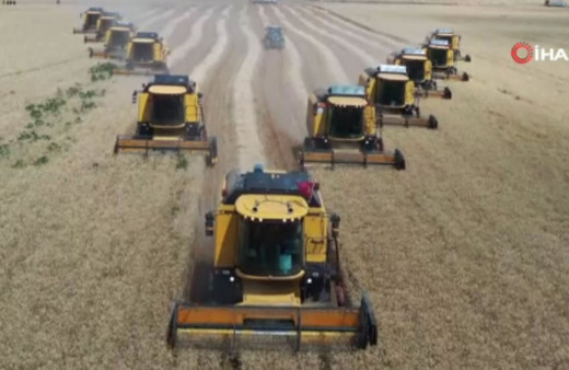 Şanlıurfa TİGEM'de 200 bin ton mahsul bekleniyor