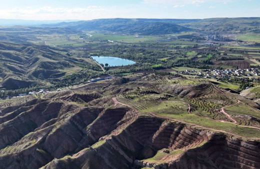 Sivas'a yeni bir orman kazandırılacak