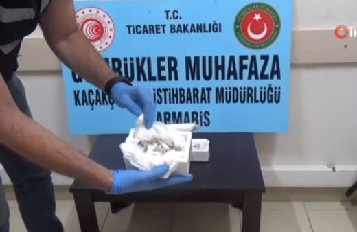 76 yavru tarantula siparişi verdi, "biyoloji dersi" için dedi!