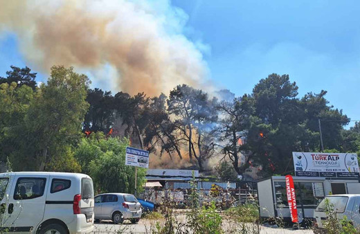 Antalya'da korkutan orman yangını! Rüzgarın etkisiyle büyüdü, ekipler müdahale ediyor