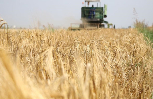 Tarımsal girdi fiyat endeksi nisanda arttı