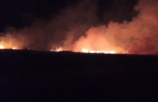 Adıyaman'da düşen yıldırım buğday tarlasını yaktı!
