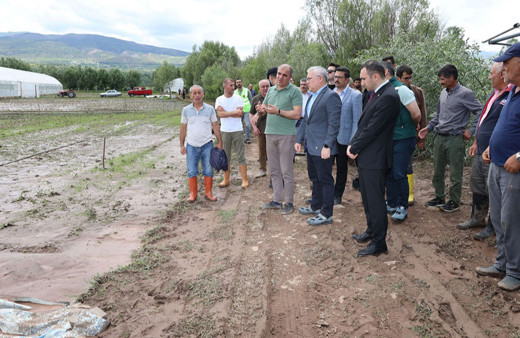 Sivas'ta yağışlardan zarar gören çiftçilerin mağduriyeti giderilecek
