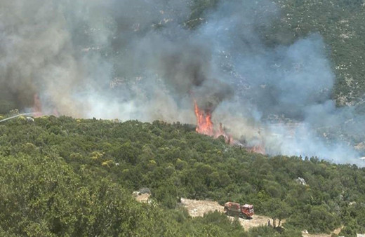 Kaş’taki orman yangını yarım saatte kontrol altına alındı