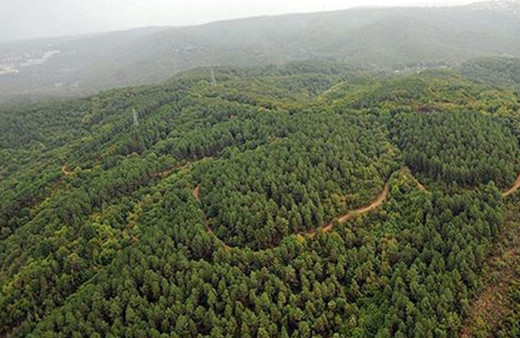 Ormanlık alanlara girişler yasaklandı! Valilik kararı duyurdu