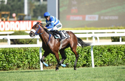 97'nci Gazi Koşusu'nu Urfa Aslanı kazandı