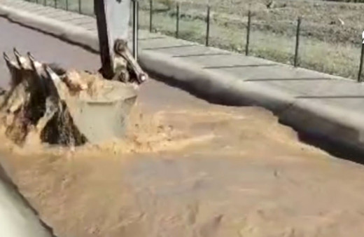 Iğdır'da su kanalına düşen danayı, kepçeyle böyle kurtardılar!