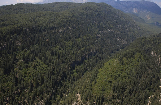 Valilik duyurdu! 4 ay boyunca yasaklandı