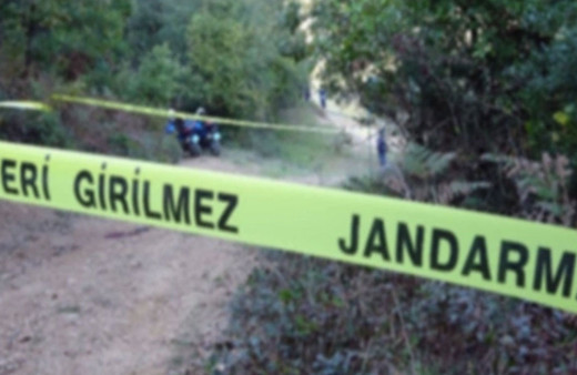 Bağ yolunda yürüyüş yapanlar buldu! Dehşete düşüren olay