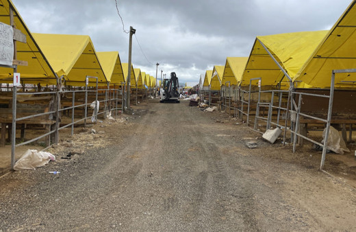 İstanbul'da kurban satış noktaları boşalmaya başladı