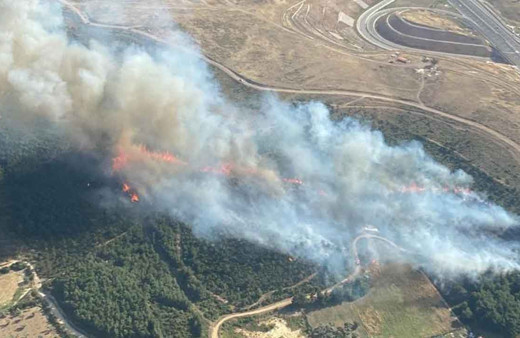 İzmir'de orman yangını! Çok sayıda ekip bölgede alevlerle mücadele başladı...