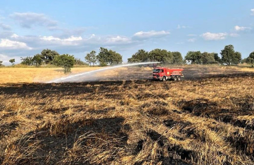 Kütahya'da çıkan yangında 8 dekar buğday tarlası zarar gördü!