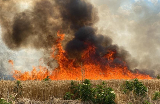 47 dönümlük tarlası 10 dakika içinde küle döndü! Sözleri yürekleri dağladı: "3 gün içinde biçecektik"