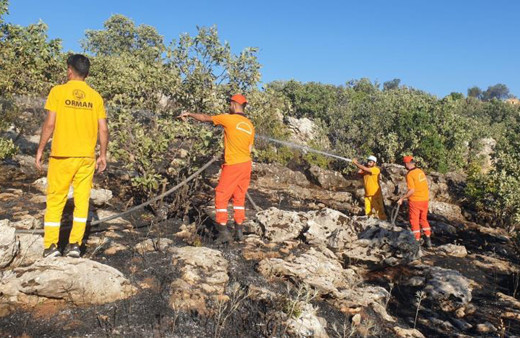 Diyarbakır'da iki ayrı anız yangını ormanlık alana sıçradı