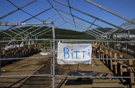 İstanbul'daki kurban pazarları toplanıyor