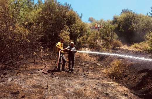 Osmaniye'de çıkan orman yangını kontrol altına alındı