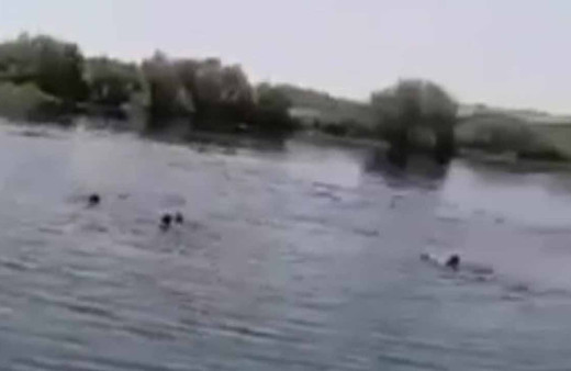 Piknik faciası kamerada! Onlar suda çırpındı, yakınları gözyaşı döküp çığlık atarak izledi