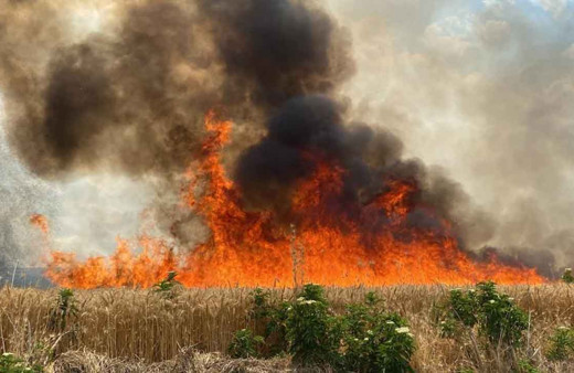 47 dönüm buğday tarlası 10 dakikada cayır cayır yandı