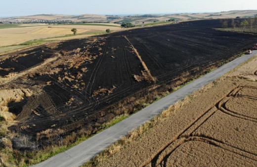 200 dönümlük buğday tarlası alev alev yandı!