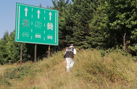 Kocaeli'de korkunç olay! Kokuyu duyanlar polisi aradı: Cürümüş ceset yol kenarında bulundu!