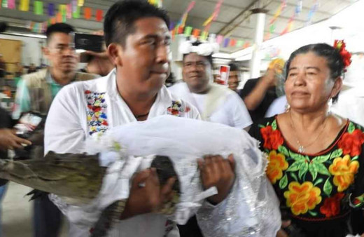 Meksikalı belediye başkanı timsahla evlendi, gelinlik giydirdi, dans etti